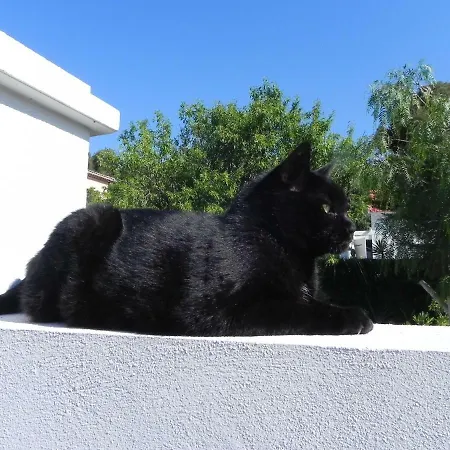 Au Pied Du Baou Avec Jardin Prive Toulon