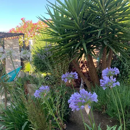 Au Pied Du Baou Avec Jardin Prive